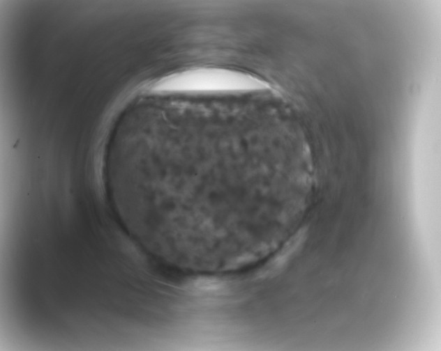 X0000088690341200706211930