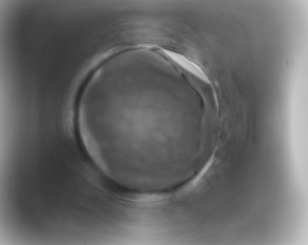X0000088690342200706211931