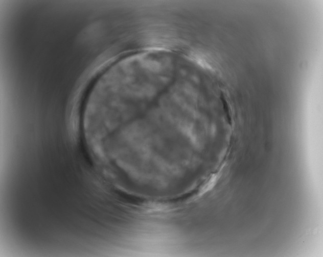 X0000088690343200706211931