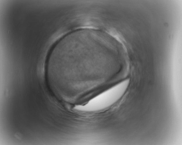 X0000088690344200706211931