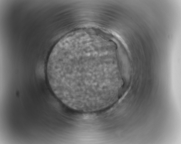X0000088690345200706211931