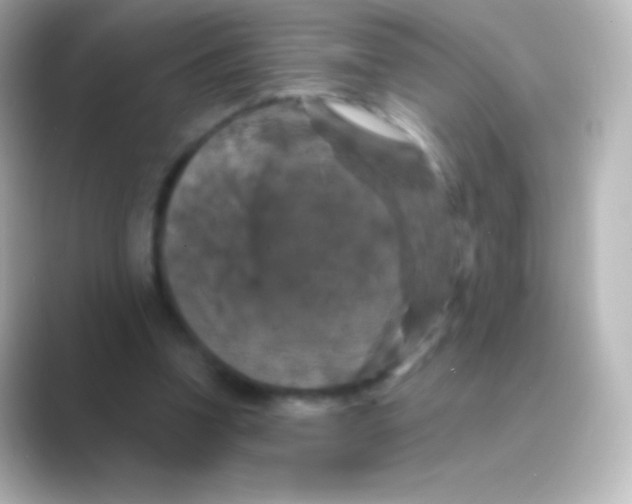 X0000088690346200706211931