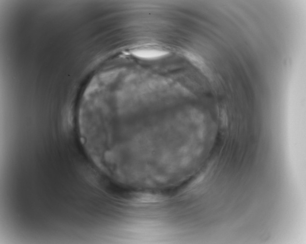 X0000088690347200706211931