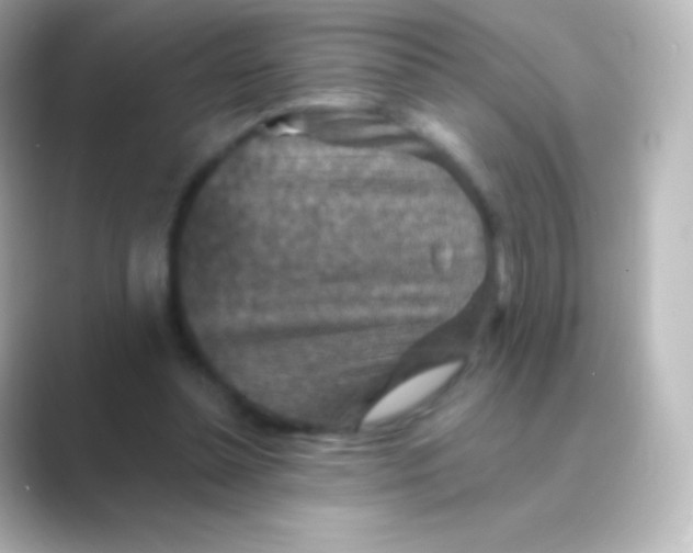 X0000088690348200706211931