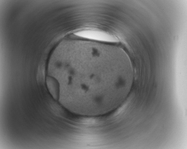 X0000088690349200706211931