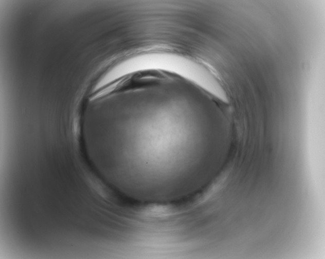X0000088690350200706211931