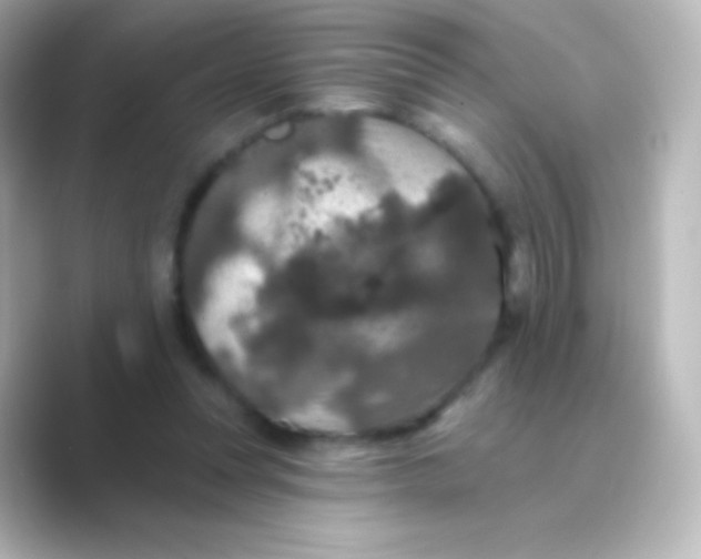 X0000088690351200706211931