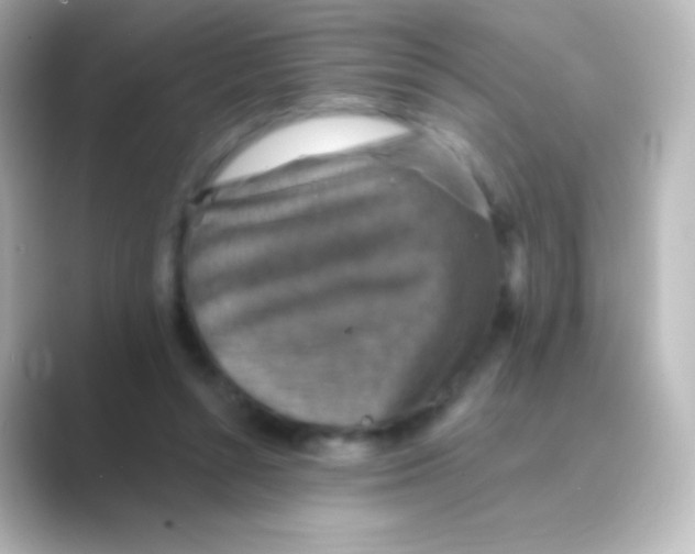 X0000088690352200706211931