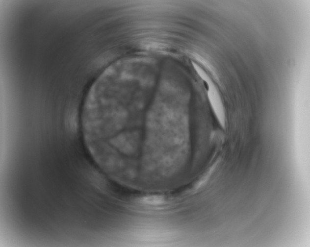 X0000088690353200706211931