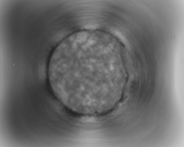 X0000088690354200706211931