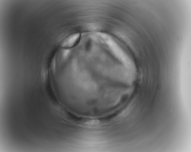 X0000088690355200706211931