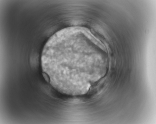 X0000088690356200706211931