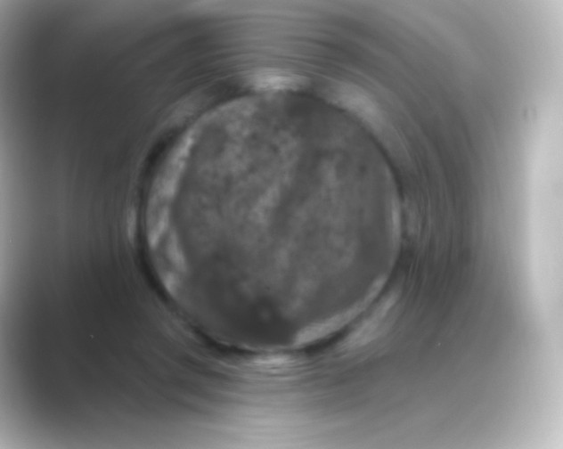 X0000088690357200706211931