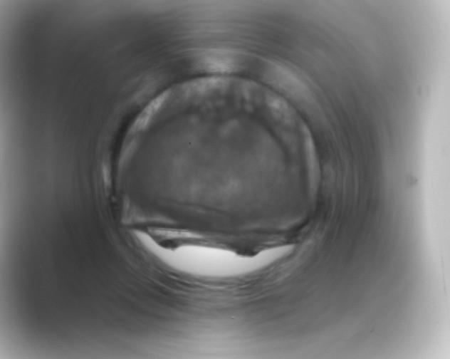 X0000088690358200706211931