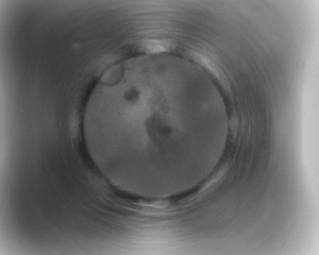 X0000088690359200706211931