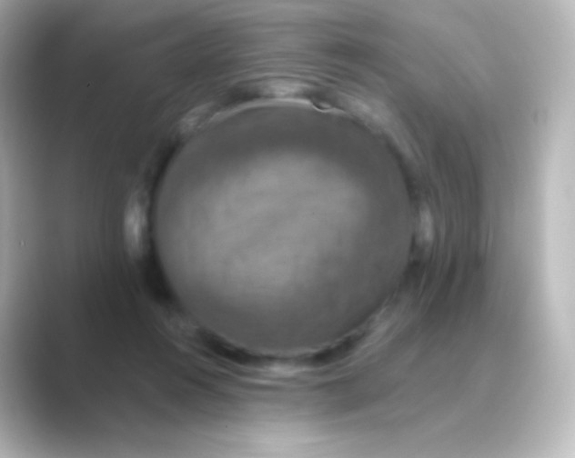 X0000088690360200706211931