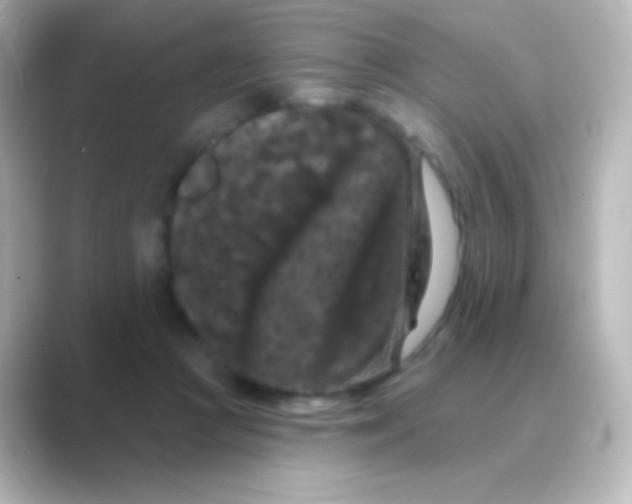 X0000088690361200706211931