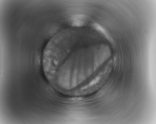 X0000088690363200706211931