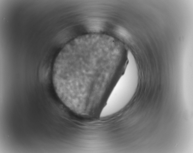 X0000088690364200706211931