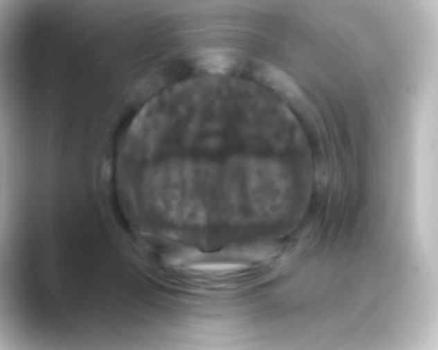 X0000088690365200706211931