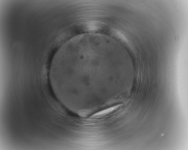 X0000088690366200706211931