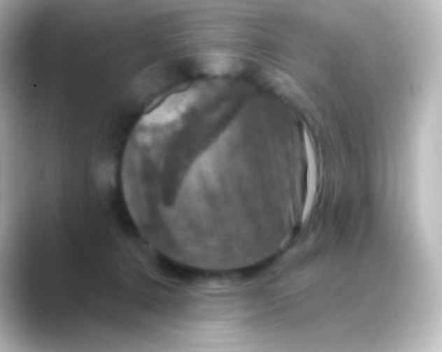 X0000088690368200706211931