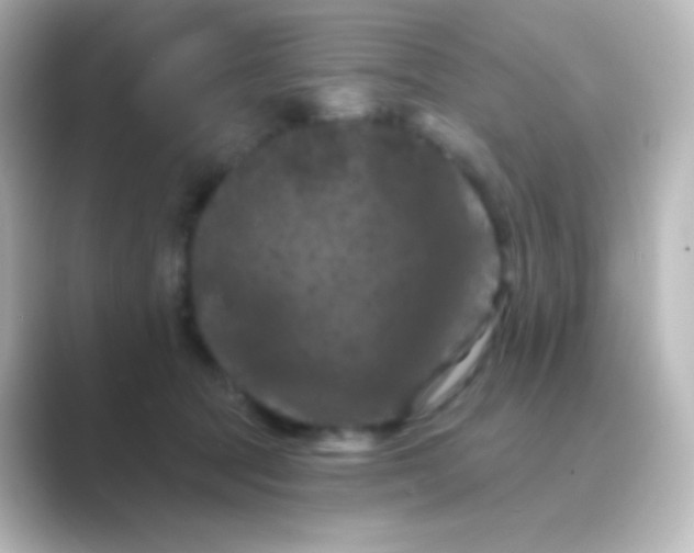X0000088690369200706211931