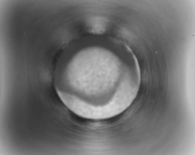 X0000088690370200706211931