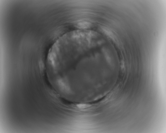 X0000088690371200706211931