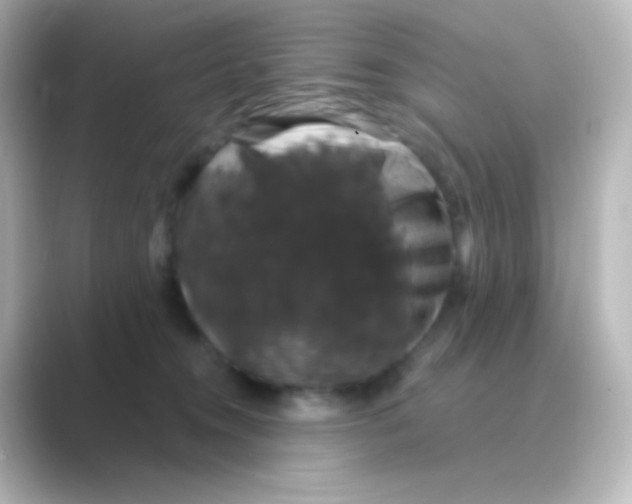 X0000088690372200706211931