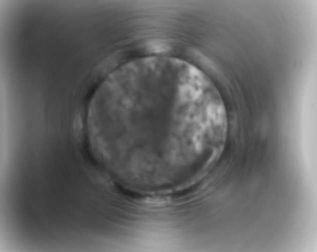 X0000088690373200706211931