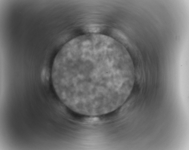 X0000088690374200706211931