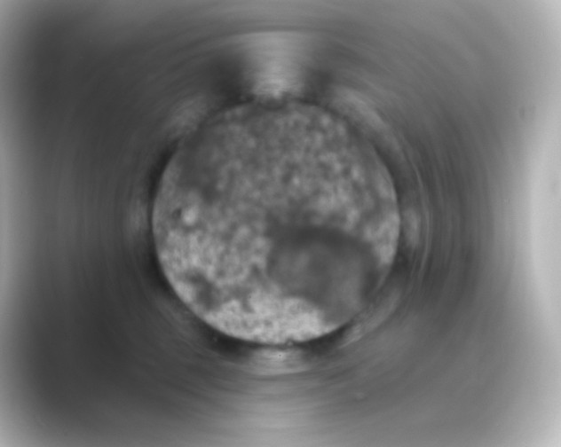 X0000088690375200706211931