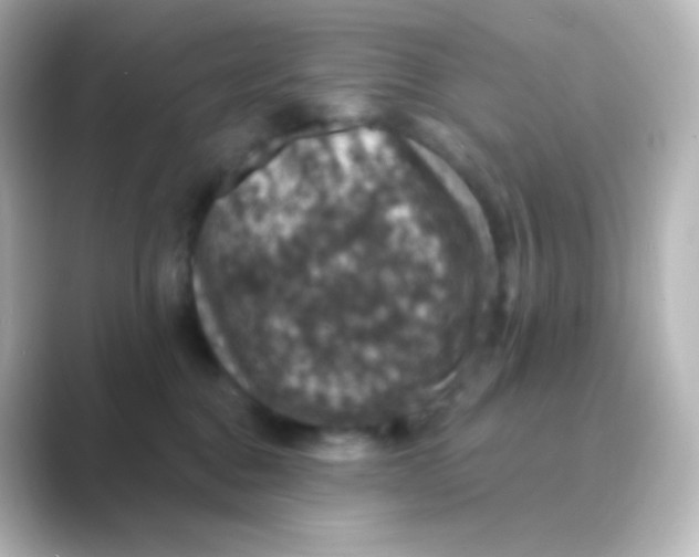 X0000088690376200706211931