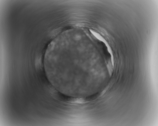 X0000088690377200706211931