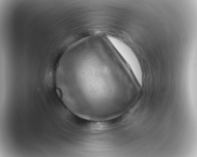 X0000088690378200706211931