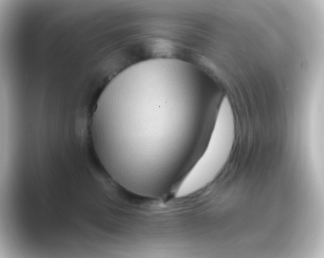 X0000088690379200706211931