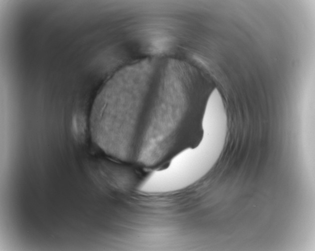 X0000088690380200706211931