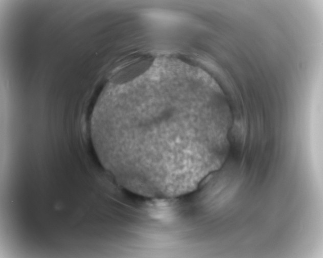 X0000088690381200706211931