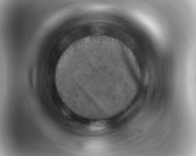 X0000088690382200706211931