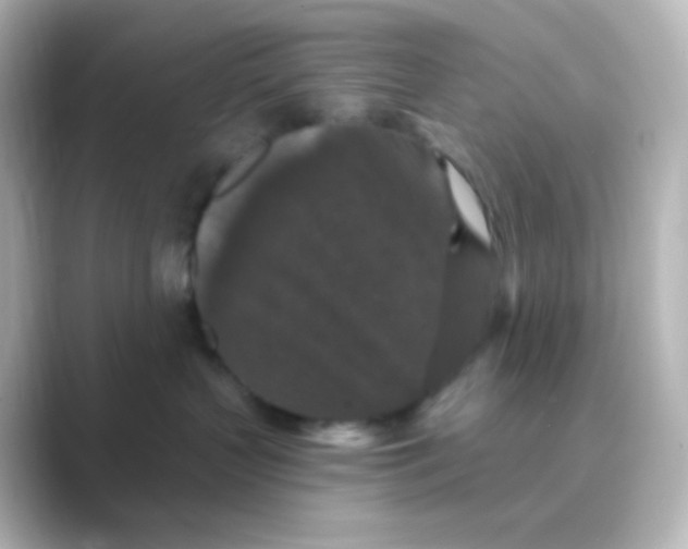 X0000088690383200706211931