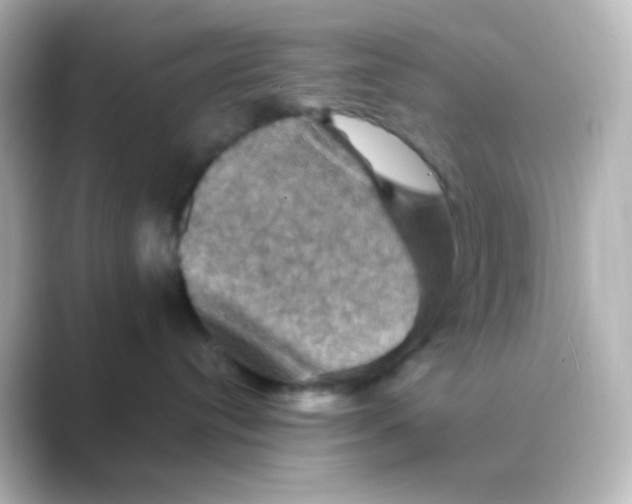 X0000088690384200706211931