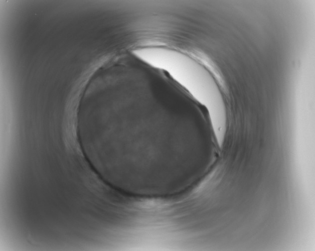 X0000088690385200706211930