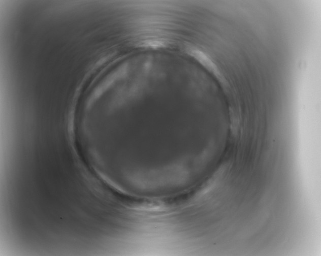 X0000088690386200706211930