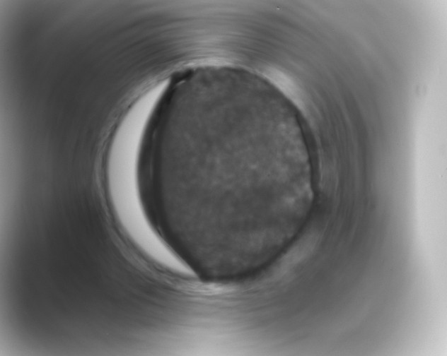 X0000088690389200706211930