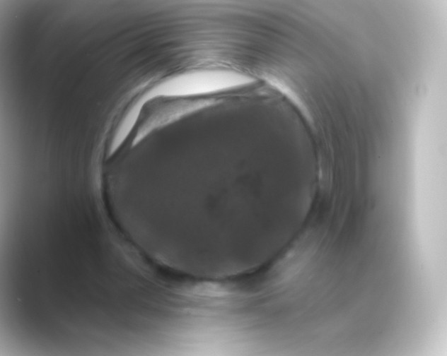 X0000088690390200706211930