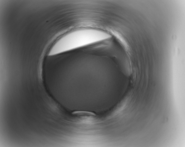 X0000088690391200706211930