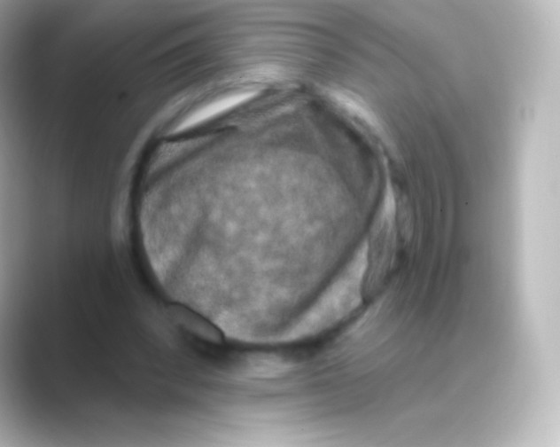 X0000088690392200706211930