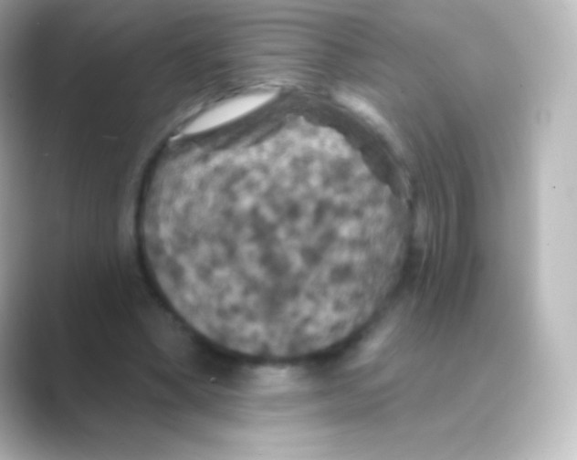 X0000088690394200706211930