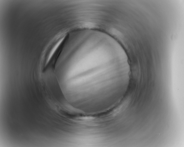 X0000088690395200706211930